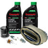 Kawasaki Engines SAE 10W-40 Oil Tune-Up Kit for FH721V/680V/661V/601V Engines, small image number 1