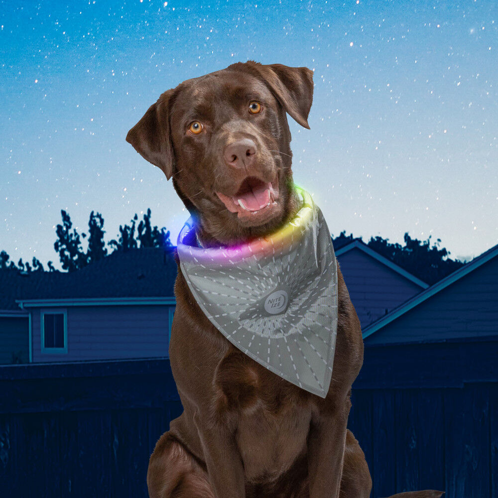 Nite Ize NiteHowl Bandana LED Safety Necklace Disc O Select Grey