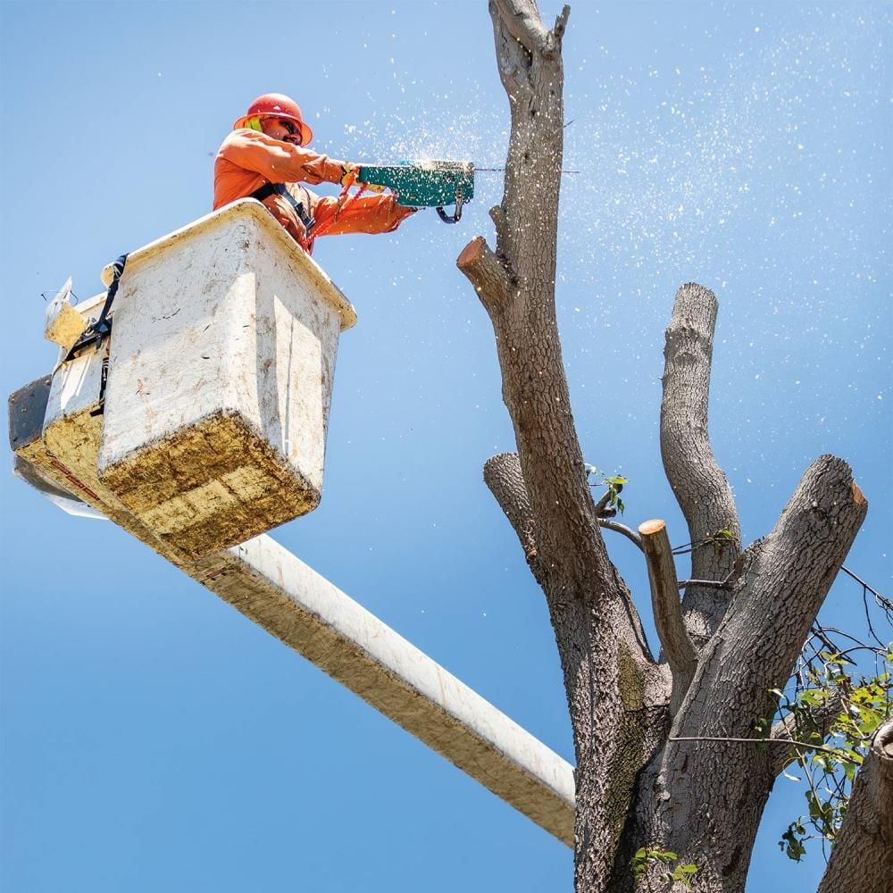Makita 40V max XGT 18in Chainsaw 5Ah Kit, large image number 10