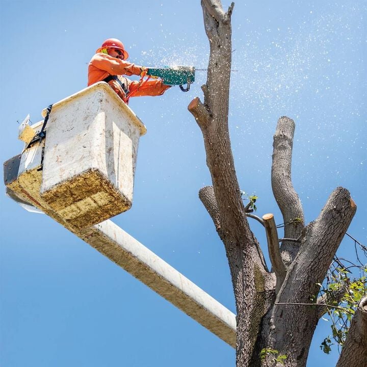 Makita 40V max XGT 18in Chainsaw 5Ah Kit, large image number 9