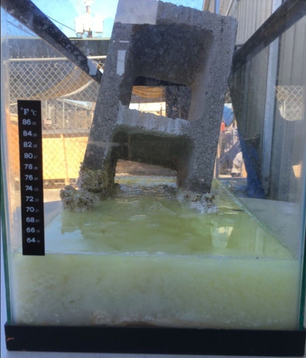 Bullseye Products Super Quick Concrete Dissolver 22oz SC1010-22 - Acme ...