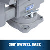 Wilton Reversible Bench Vise, small