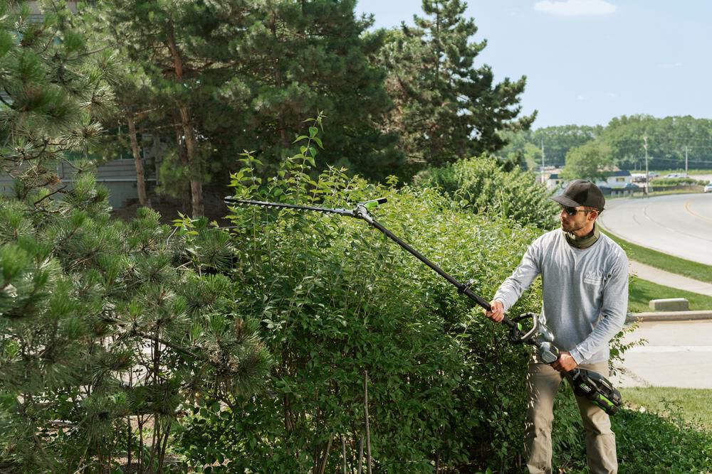 Best commercial best sale pole hedge trimmer