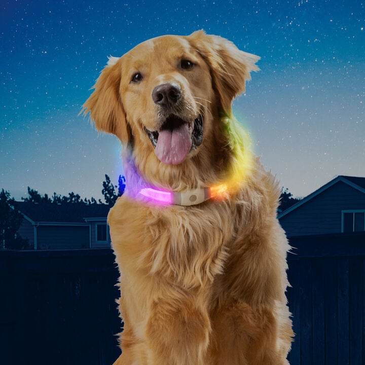 Nite Ize NiteHowl Max Rechargeable LED Safety Necklace Disc-O Select, large image number 6