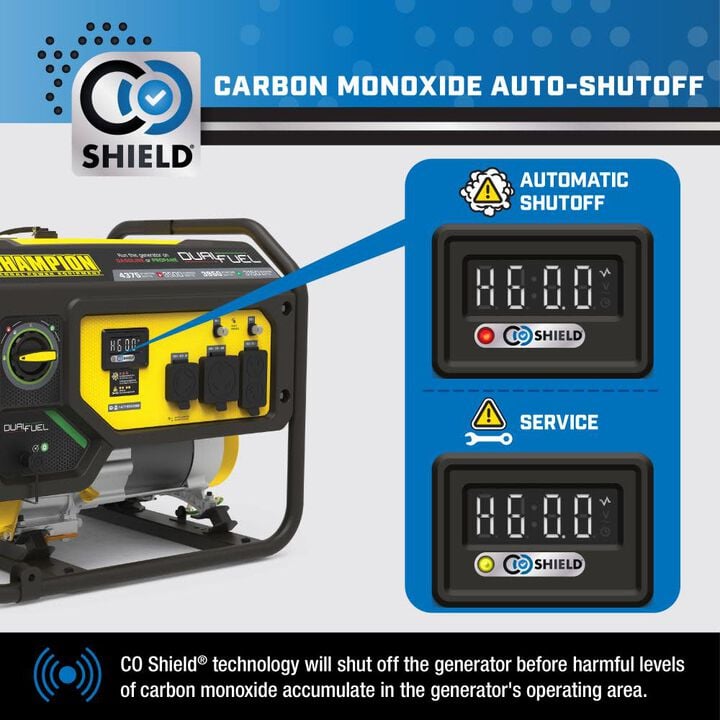 Champion Power Equipment 4375-Watt Dual Fuel 49 State RV Ready Portable Generator, large image number 2