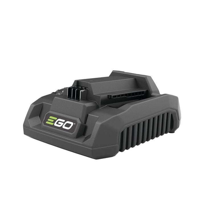 EGO Trimmer, Edger, and Power Head Multi-Head Combo Kit, large image number 5