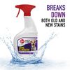 Hoover Residential Vacuum Paws & Claws Urine Stain Eliminator 22oz, small
