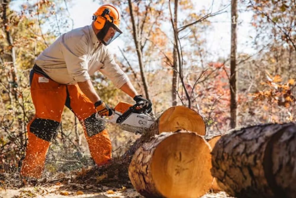 Stihl store 59cc chainsaw