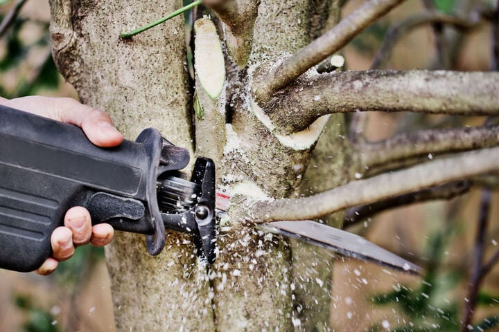 Diablo Tools 12in Fleam Ground Recip Blade for Pruning, large image number 2