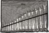 Allied International 16 piece Combination Open and Box End Wrench Set in Pouch, small image number 1
