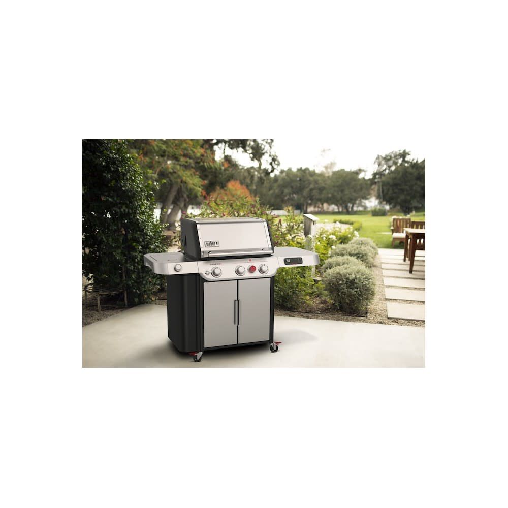 Weber hotsell genesis stainless