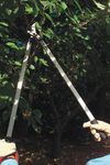 Stihl PL 40 Lopper, small image number 4