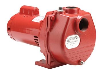 Red Lion 2 HP Cast Iron Sprinkler Pump
