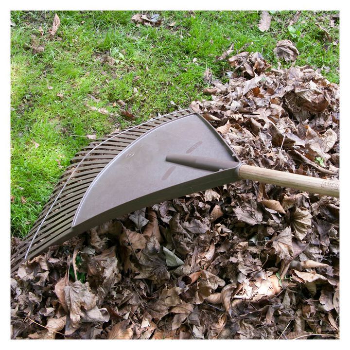 Ames 30in Head Poly 30 Tine Leaf Rake with 48in Wood Handle, large image number 1