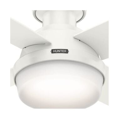 Hunter Fan Dempsey Ceiling Fan 44in Fresh White Blonde Oak/White, large image number 5
