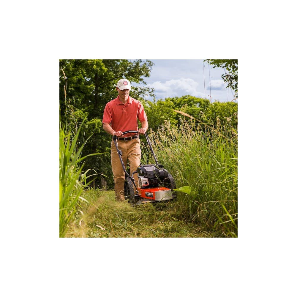 DR Power Equipment 22 in 163 cc Manual Start Gasoline-Powered String ...