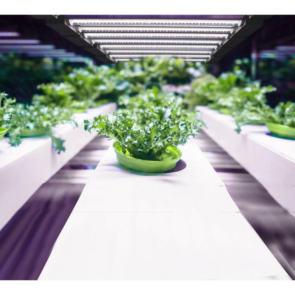 Feit Electric 86W Blue Spectrum LED Plant Grow Light 1pk, large image number 5