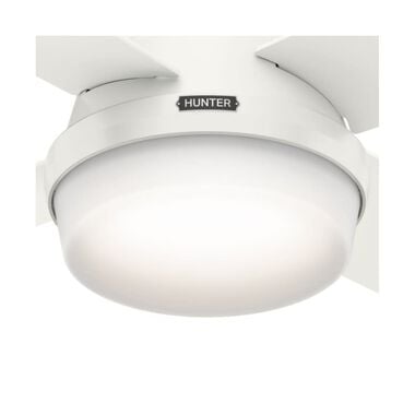 Hunter Fan Dempsey Ceiling Fan 44in Fresh White Blonde Oak/White, large image number 3