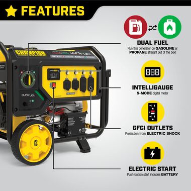 Champion Power Equipment 7500 Watt Dual Fuel Portable Generator with Electric Start, large image number 2