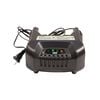 Ion Gen 1 Battery Charger, small image number 1