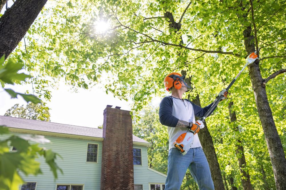 Stihl HTA 66 10in Bar & Chain Cordless Battery Powered Pole Pruner (Bare Tool), large image number 3