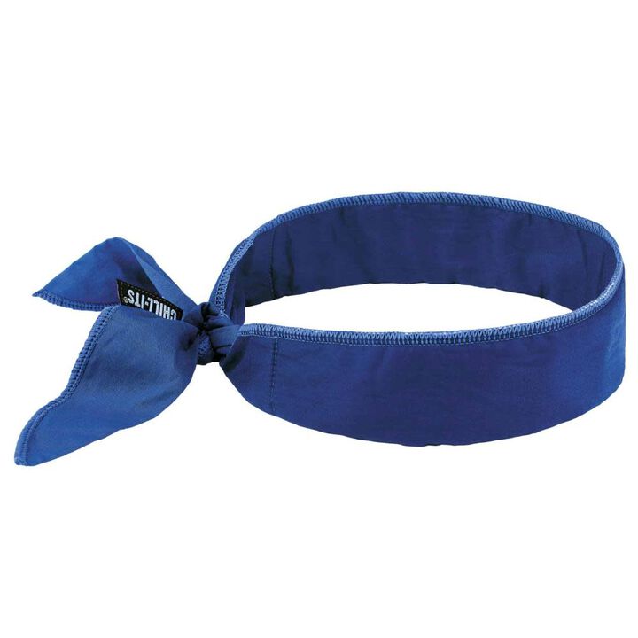 Ergodyne Chill Its 6702 Cooling Bandana, swatch