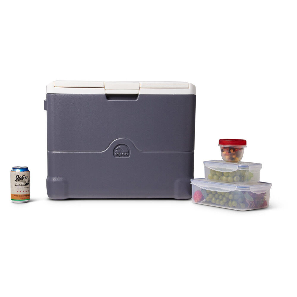 Igloo 40 best sale qt thermoelectric cooler