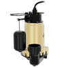 K2 Pumps Sump Pump 3/4 HP Cast Iron with Snap Action Vertical Switch, small image number 3