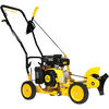 Champion Power Equipment 9 Inch 79 cc Lawn Edger with Curb Hop Feature, small image number 1