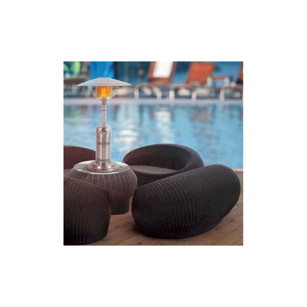 Living Accents Tabletop Patio Heater 10000 BTU Steel Portable SRPT03S