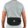 Ergodyne Proflex 1600 Moderate Back Support, small image number 1