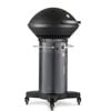 Fuego Professional 24in 2 Burner Propane Gas Grill, small image number 3