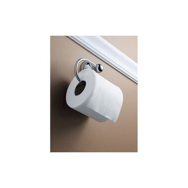 Moen Preston Toilet Paper Holder Chrome European, large image number 1