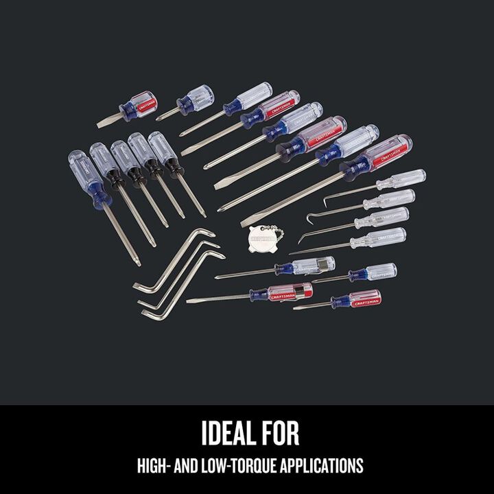 CRAFTSMAN Acetate Screwdriver Set 25 Pieces, large image number 3