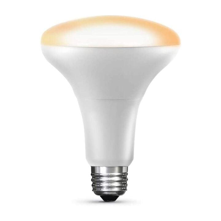 Feit Electric 65W BR30 Apple HomeKit LED Smart Bulb 1pk, large image number 0