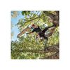 Stihl MSA 220 TC-0 14 Inch Manual Adjust 36V Battery-Powered Chainsaw (Bare Tool), small image number 5