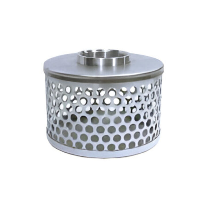 Honda 2 Inch Steel Strainer for WH20X Water Pump