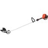 Echo Edger 21.2cc, small image number 1