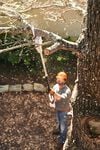 Stihl HTA 50 36V Battery Powered Extended-Reach Pole Pruner (Bare Tool), small image number 4