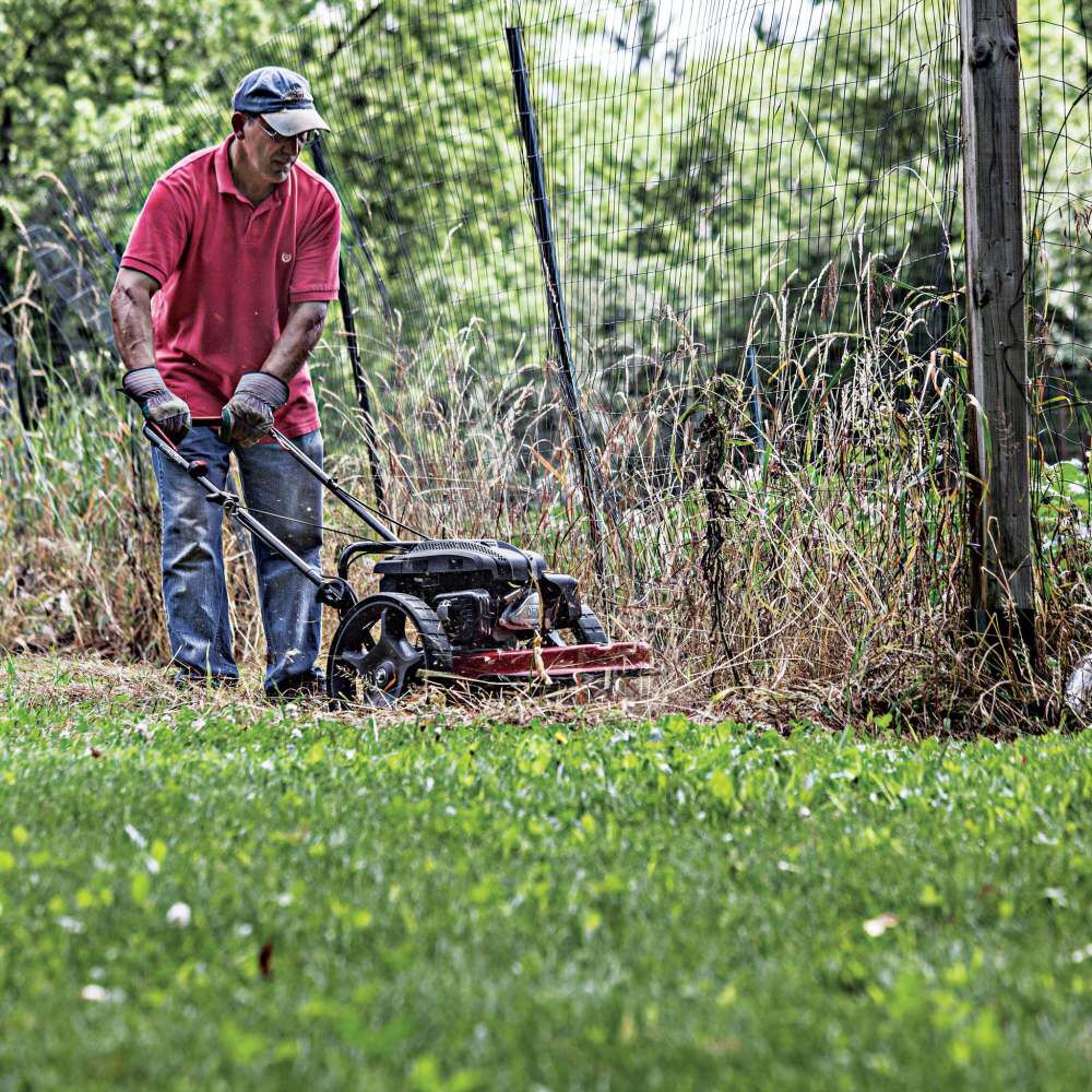 Lawn mower deals string