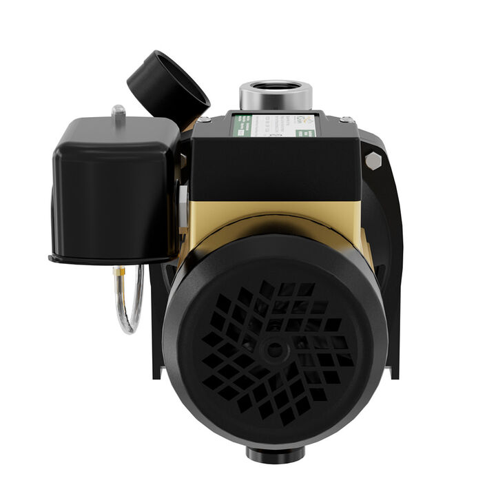 K2 Pumps Shallow Well Jet Pump 3/4 HP Lead Free Thermoplastic 115/230V, large image number 3