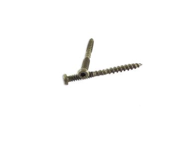 Woodpro #10 x 2-1/2 In. 1000 Hour PPG E-Coat Grey Composite Deck Screws