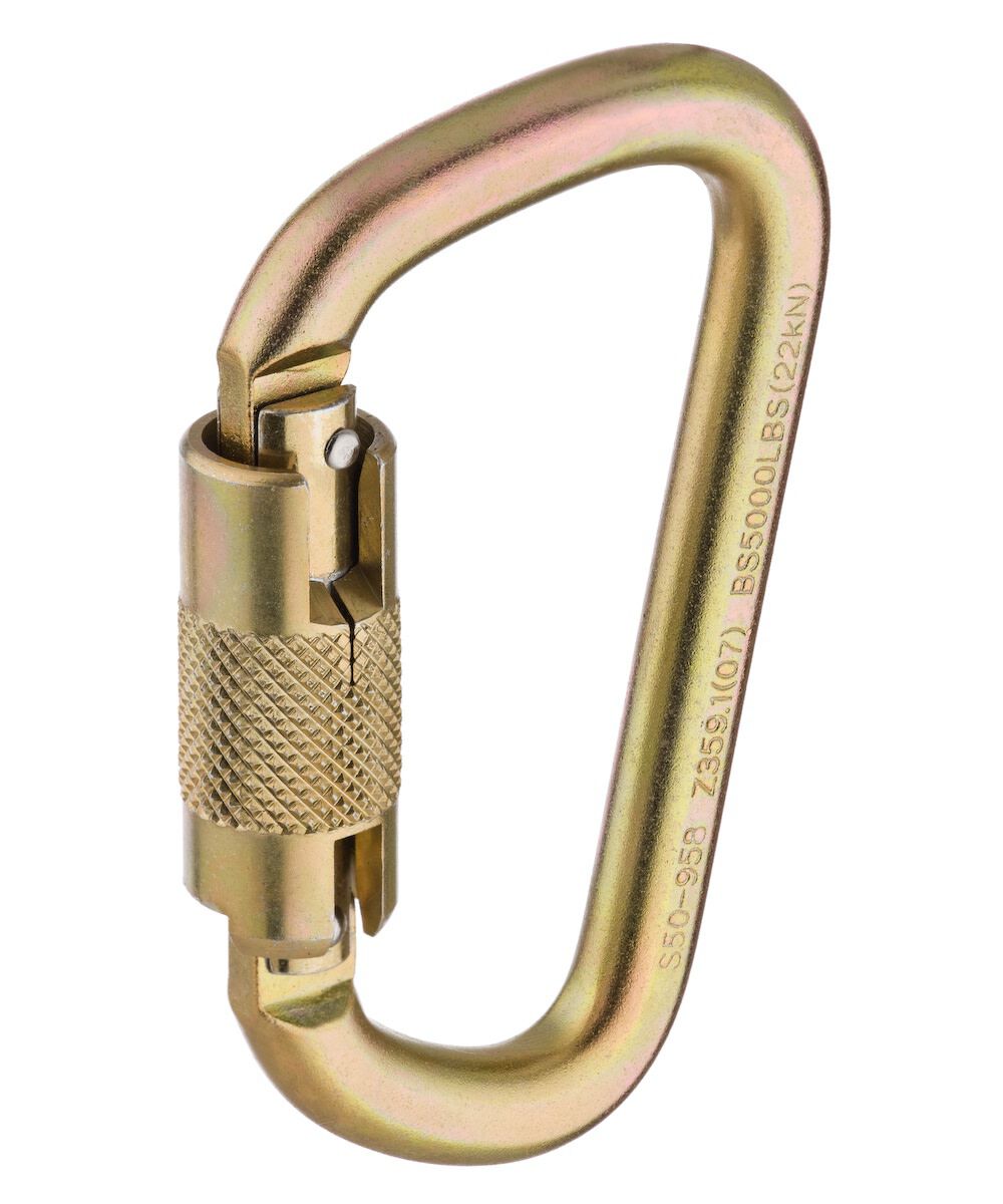 DBI Sala Saflok Carabiner, large image number 2