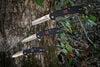 AL MAR Knives Ultralight 4in Folding Knife, Black, small image number 4