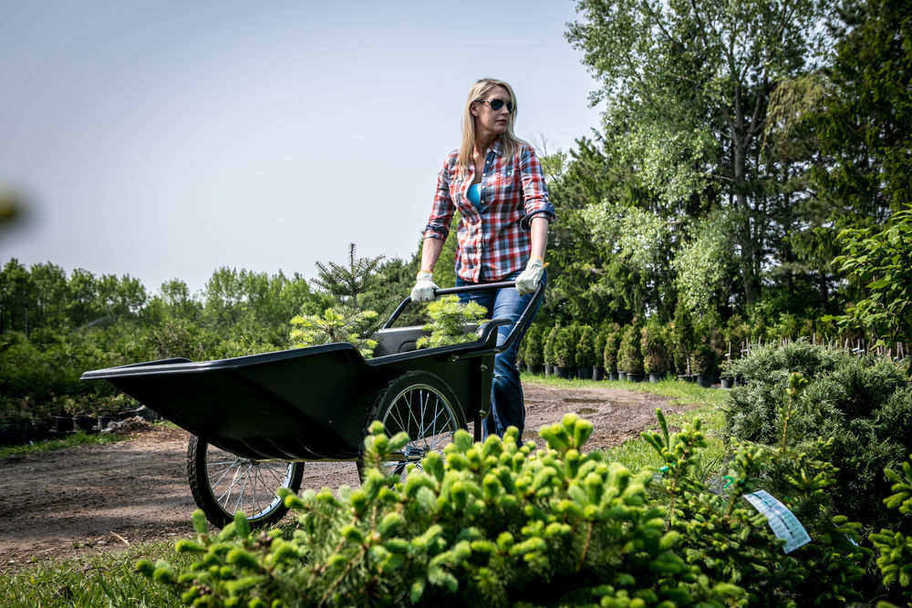Polar Trailer Utility Cart, large image number 8