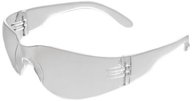 ERB IProtect Clear Temple/Clear Anti-fog Lens