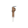 Reliance 2-1/2 In. Heater Temperature & Pressure Relief Valve, small image number 1
