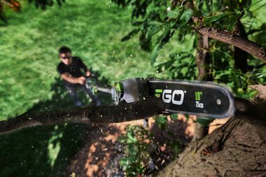 EGO POWER+ 10 Telescopic Pole Saw Kit with 2.5Ah Battery & Standard Charger