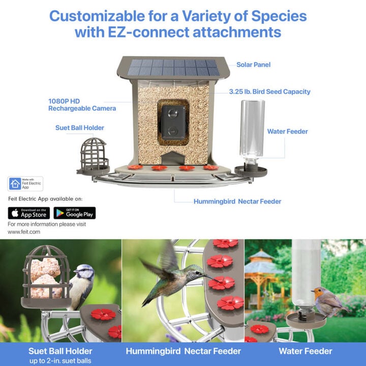 Feit Electric 2.5 L Plastic 5W Genius AI Solar Powered Smart Bird Feeder, large image number 3