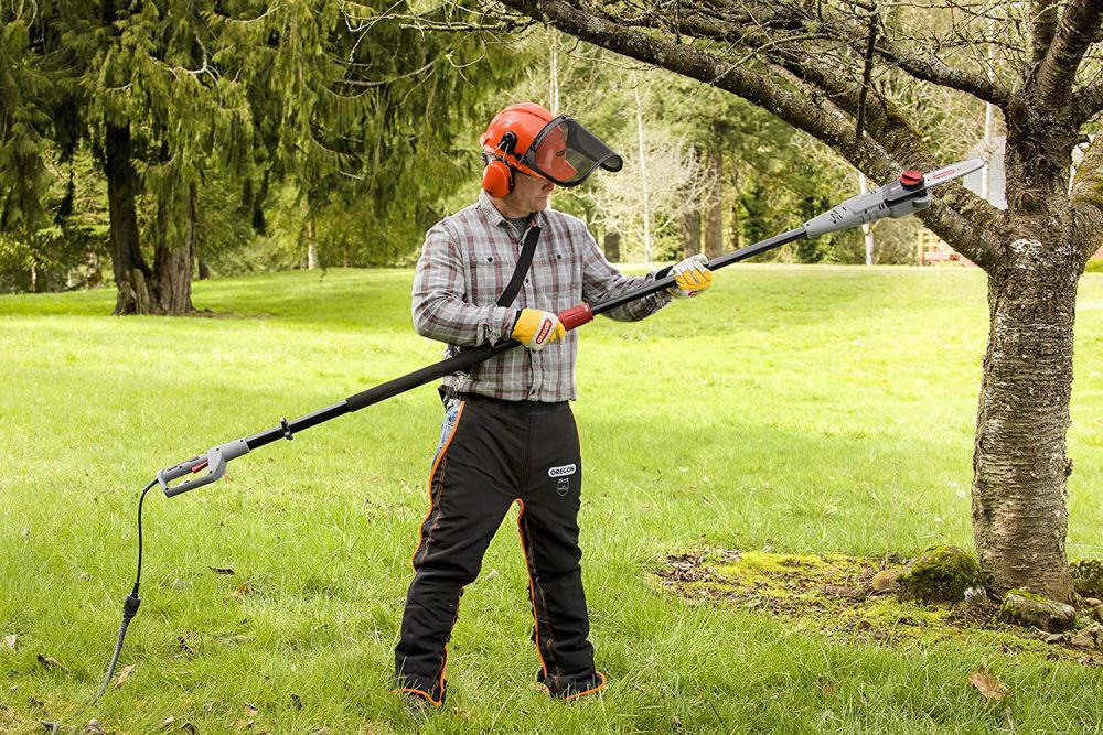 Oregon cordless best sale pole saw